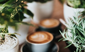 Coffee on the cafe counter